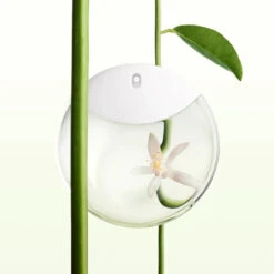 Issey Miyake A Drop EDP 30 Ml -Armani Salgsbutik 34232220102875