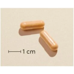 Biosym Omni-B Active 120 Pieces -Armani Salgsbutik biosym omni b active 120 pieces 1648633293