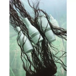 Björn Axén Moisture Hair & Scalp Serum 60 Ml 9 Björn Axén Moisture Hair & Scalp Serum 60 Ml -Armani Salgsbutik bjorn axen moisture hair scalp serum 60 ml 1676876700