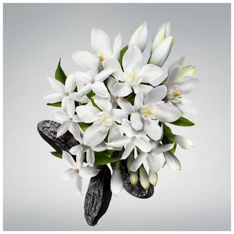 Carolina Herrera Good Girl Hair Mist 30 Ml 2 Carolina Herrera Good Girl Hair Mist 30 Ml - Billede 2