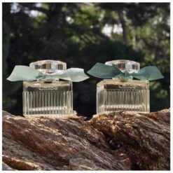 Chloé Signature Rose Naturelle Intense EDP 100 Ml -Armani Salgsbutik chloe signature rose naturelle intense edp 100 ml 1665041717