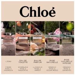Chloé Signature Rose Naturelle Intense EDP 100 Ml -Armani Salgsbutik chloe signature rose naturelle intense edp 100 ml 1665041739