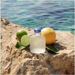 Dolce & Gabbana Light Blue Pour Homme EDT 75 Ml 7 Dolce & Gabbana Light Blue Pour Homme EDT 75 Ml -Armani Salgsbutik dolce gabbana light blue pour homme edt 75 ml 1655791909