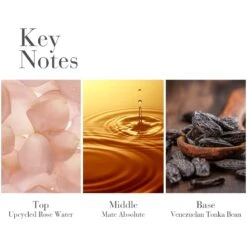 Elizabeth Arden White Tea EDP 50 Ml -Armani Salgsbutik elizabeth arden white tea edp 50 ml 1661495569