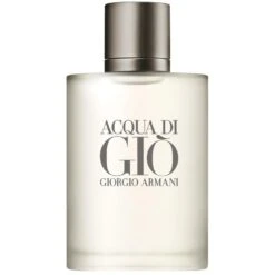 Giorgio Armani Acqua Di Giò Pour Homme EDT 100 Ml
