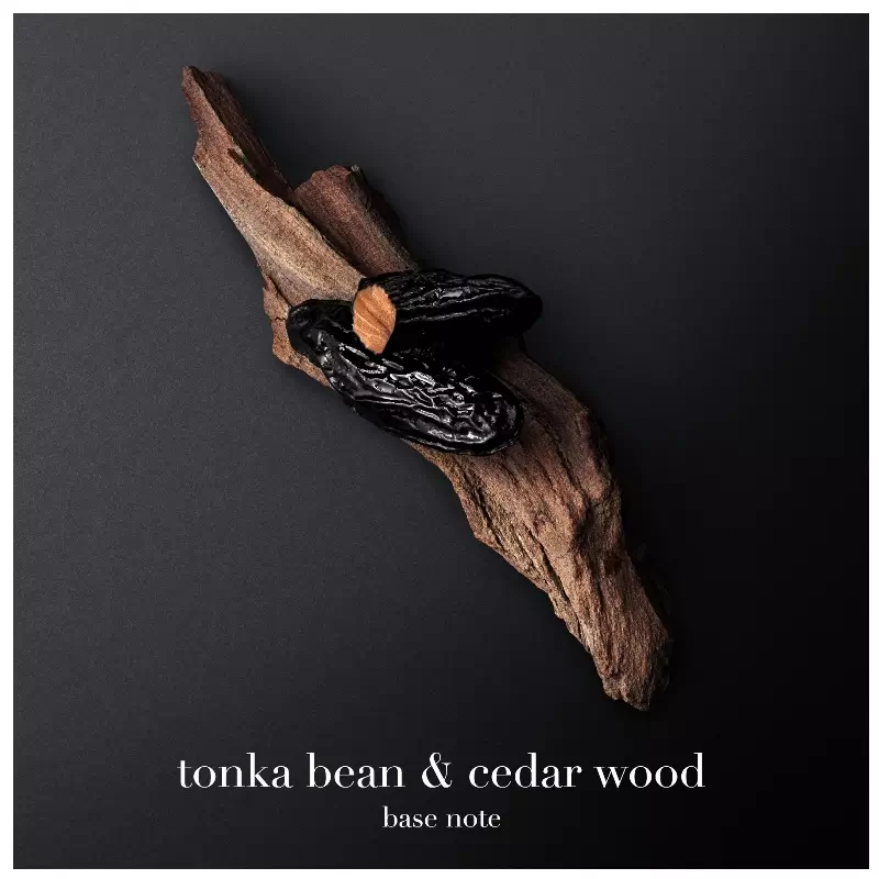 Giorgio Armani Code EDT 75 Ml 4 Giorgio Armani Code EDT 75 Ml - Billede 4