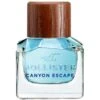 Hollister Canyon Escape For Him EDT 30 Ml -Armani Salgsbutik hollister canyon escape for him edt 30 ml 1603439609