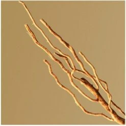 Hugo Boss Bottled EDP 100 Ml 13 Hugo Boss Bottled EDP 100 Ml -Armani Salgsbutik hugo boss bottled edp 200 ml 1602053488