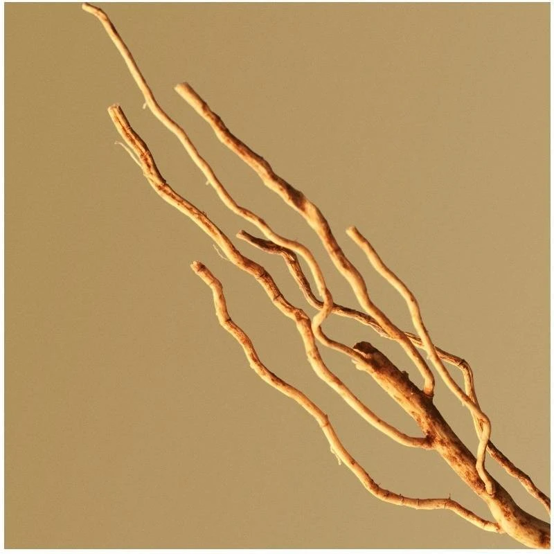 Hugo Boss Bottled EDP 100 Ml 7 Hugo Boss Bottled EDP 100 Ml - Billede 7