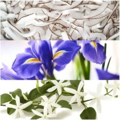 Lacoste L 12.12 Pour Elle Natural For Her EDT 30 Ml -Armani Salgsbutik lacoste l 1212 pour elle natural for her edt 30 ml 1598273478