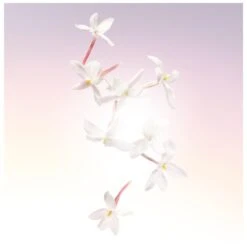 Lancome Lancôme Idôle EDP 25 Ml -Armani Salgsbutik lancome idole edp 25 ml 1566552659