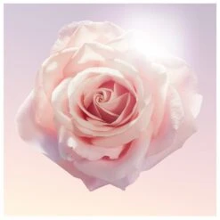 Lancome Lancôme Idôle EDP 50 Ml -Armani Salgsbutik lancome idole edp 50 ml 1566549945