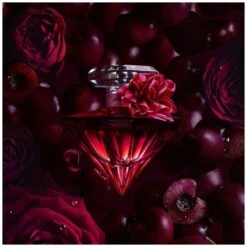 Lancome Lancôme La Nuit Trésor Intense EDP 50 Ml -Armani Salgsbutik lancome la nuit tresor intense edp 50 ml 1644840718