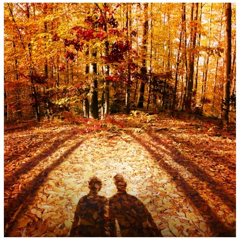 Maison Margiela Replica Autumn Vibes EDT 30 Ml 6 Maison Margiela Replica Autumn Vibes EDT 30 Ml - Billede 6