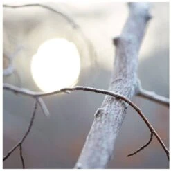 Maison Margiela Replica By The Fireplace EDT 100 Ml 10 Maison Margiela Replica By The Fireplace EDT 100 Ml -Armani Salgsbutik maison margiela replica by the fireplace edt 100 ml 1670931873