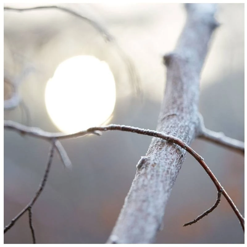 Maison Margiela Replica By The Fireplace EDT 100 Ml 5 Maison Margiela Replica By The Fireplace EDT 100 Ml - Billede 5