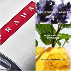 Prada Luna Rossa Carbon Men EDT 50 Ml 8 Prada Luna Rossa Carbon Men EDT 50 Ml -Armani Salgsbutik prada luna rossa carbon men edt 50 ml 1628140302