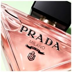 Prada Paradoxe EDP 50 Ml -Armani Salgsbutik prada paradoxe edp 50 ml 1663159642