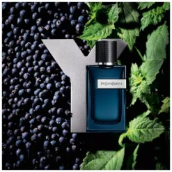 Yves Saint Laurent YSL Y EDP Intense 100 Ml -Armani Salgsbutik ysl y edp intense 100 ml 1677650488