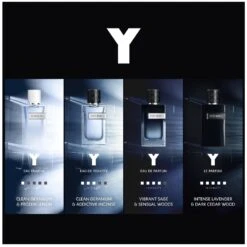 Yves Saint Laurent YSL Y EDT 100 Ml -Armani Salgsbutik ysl y edt 100 ml 1655803710